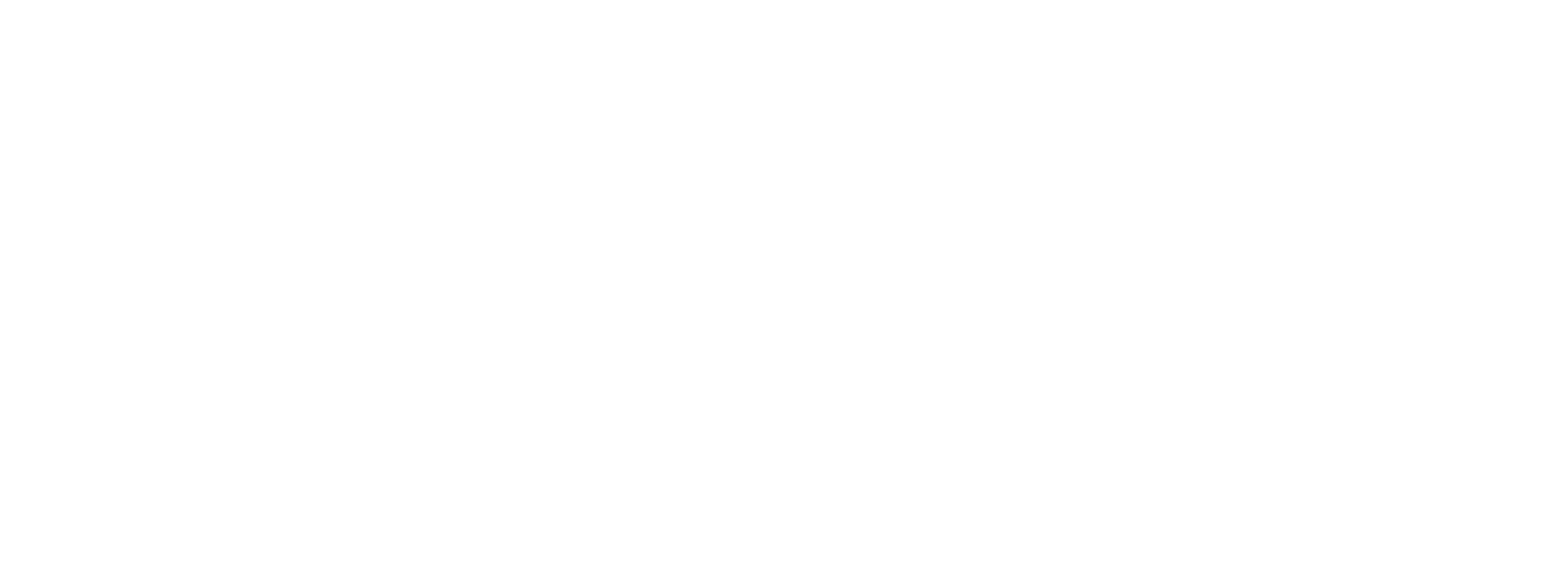 Logo Pipistrel Chile